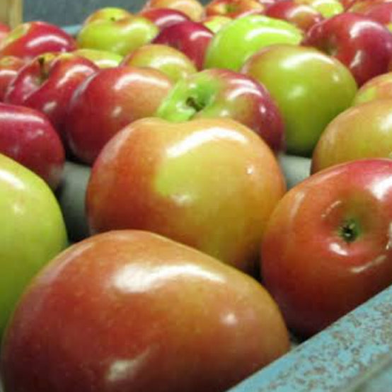 American Kashmiri Apple  [Small] (500gm)