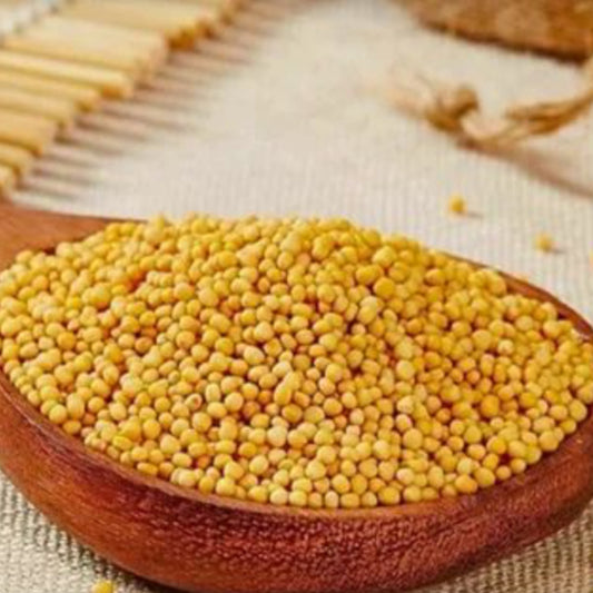 Sarso (Peela)  [100 gm]