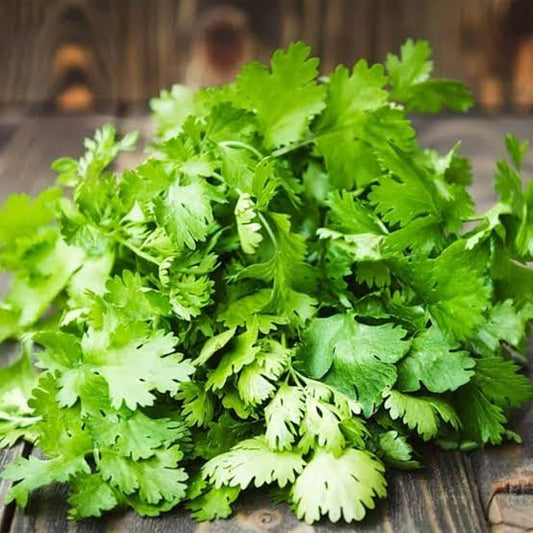 Dhaniya Patta [Coriander leaves]
