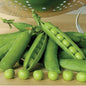 Green Peas (Hara Matar)  [500 gm]