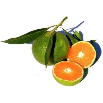 Orange  (500 gm)